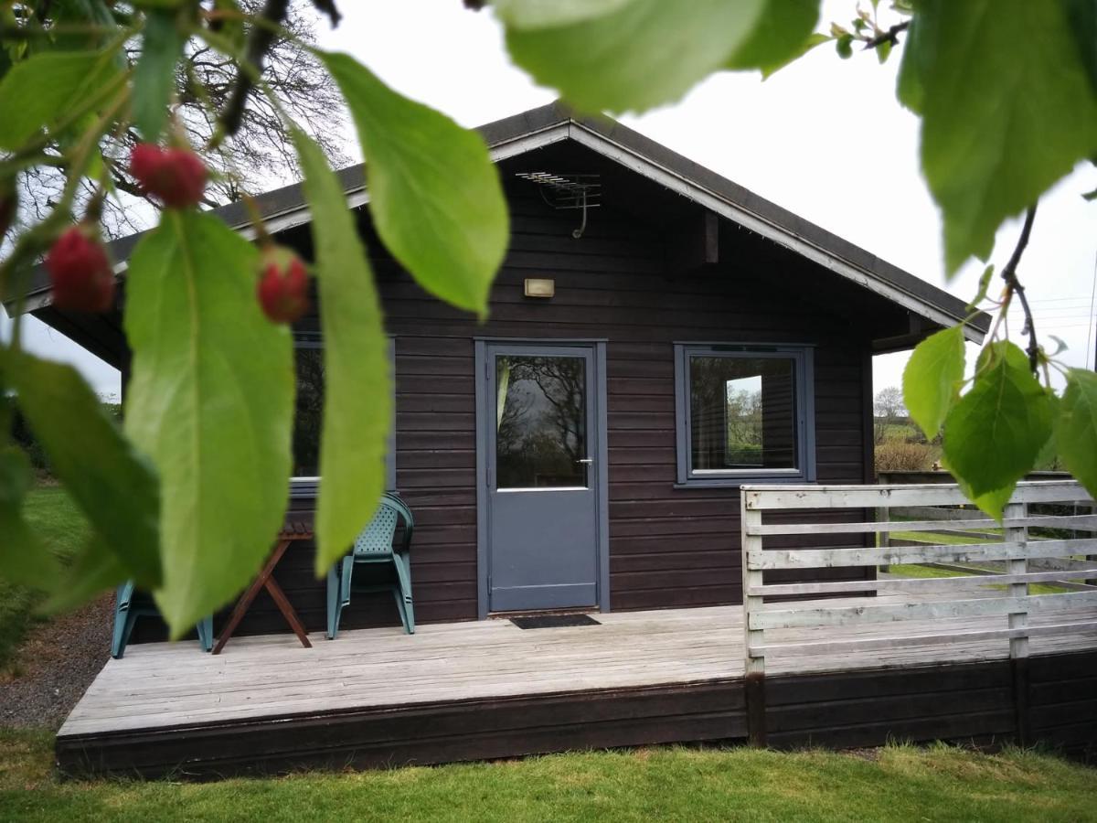 Avallon Lodges Launceston Exterior foto