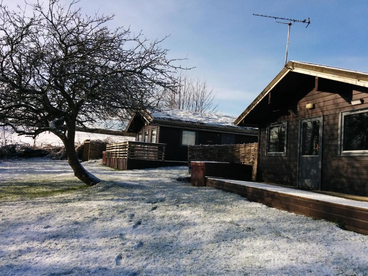 Avallon Lodges Launceston Exterior foto